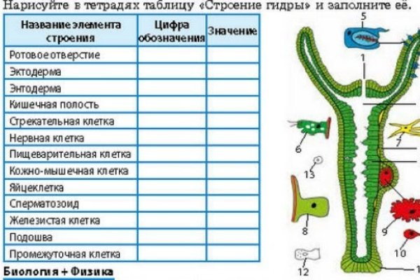 Кракен не приходят деньги